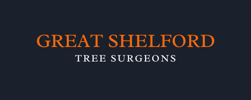 Great Shelford Tree Surgeons